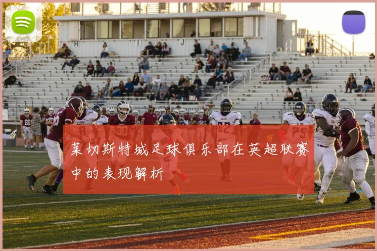 莱切斯特城足球俱乐部在英超联赛中的表现解析