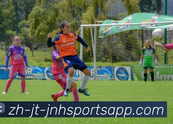 金年会体育品牌故事